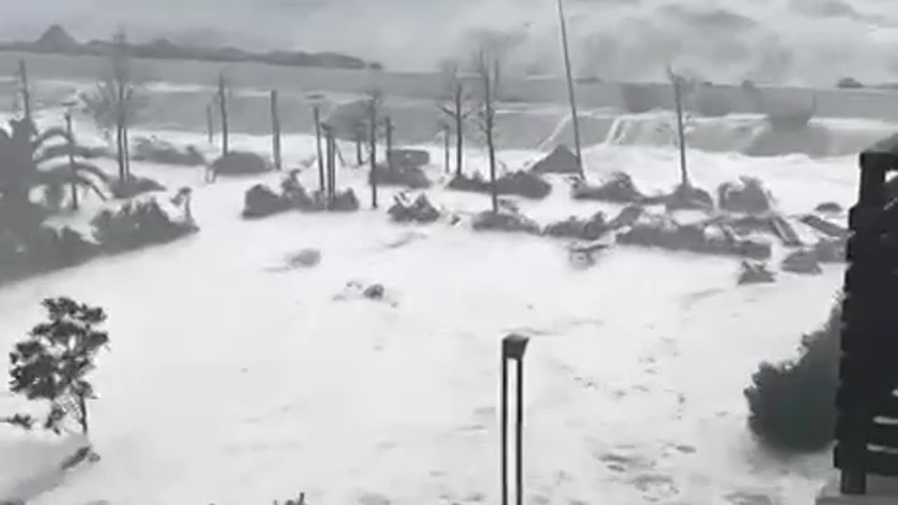 Видео из Сочи, где стихией повалило около 70 деревьев, повреждены остановки и кровля домов