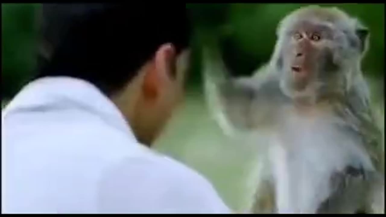 Monkey talk to man