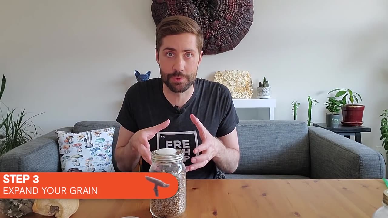 The 7 Basic Steps Of Mushroom Cultivation (How Most Mushrooms Are Grown)