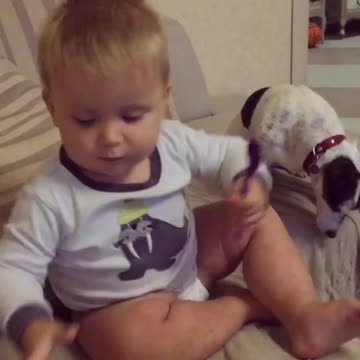 Little Boy Spoon Feeds His Dog