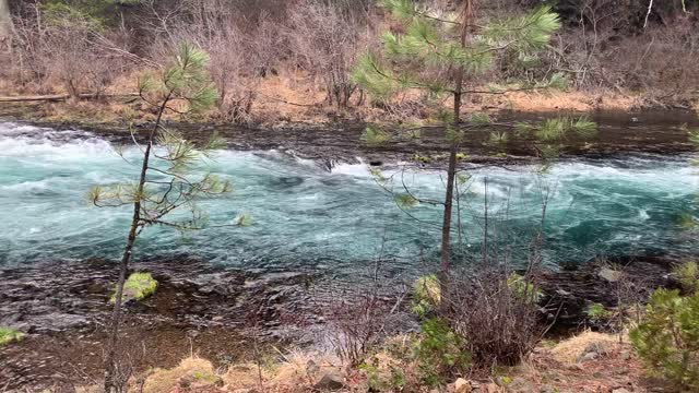 Absolutely STUNNING Color of Metolius River – Central Oregon