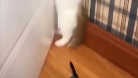 Funny and Cute Cat Scared of Soldiers