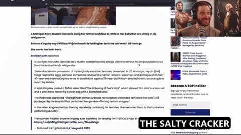 SALTY CLIP 120 WHAT'S IN THE (ICE) BOX LSW