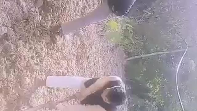 Viral tiktok