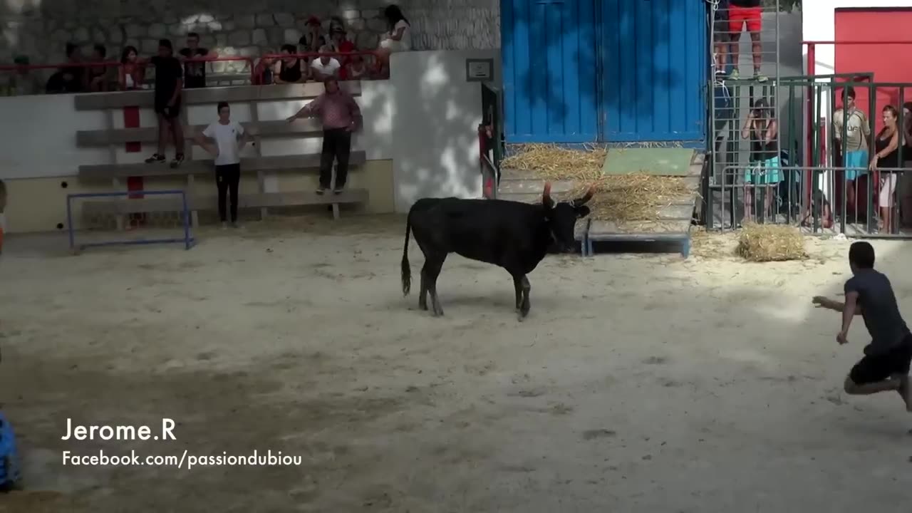 Bullfighting in a pool