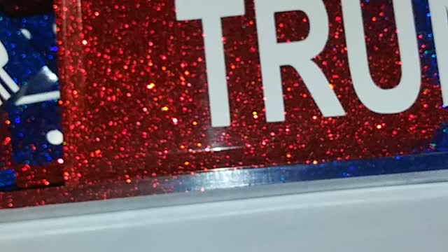 Trump Domino Set