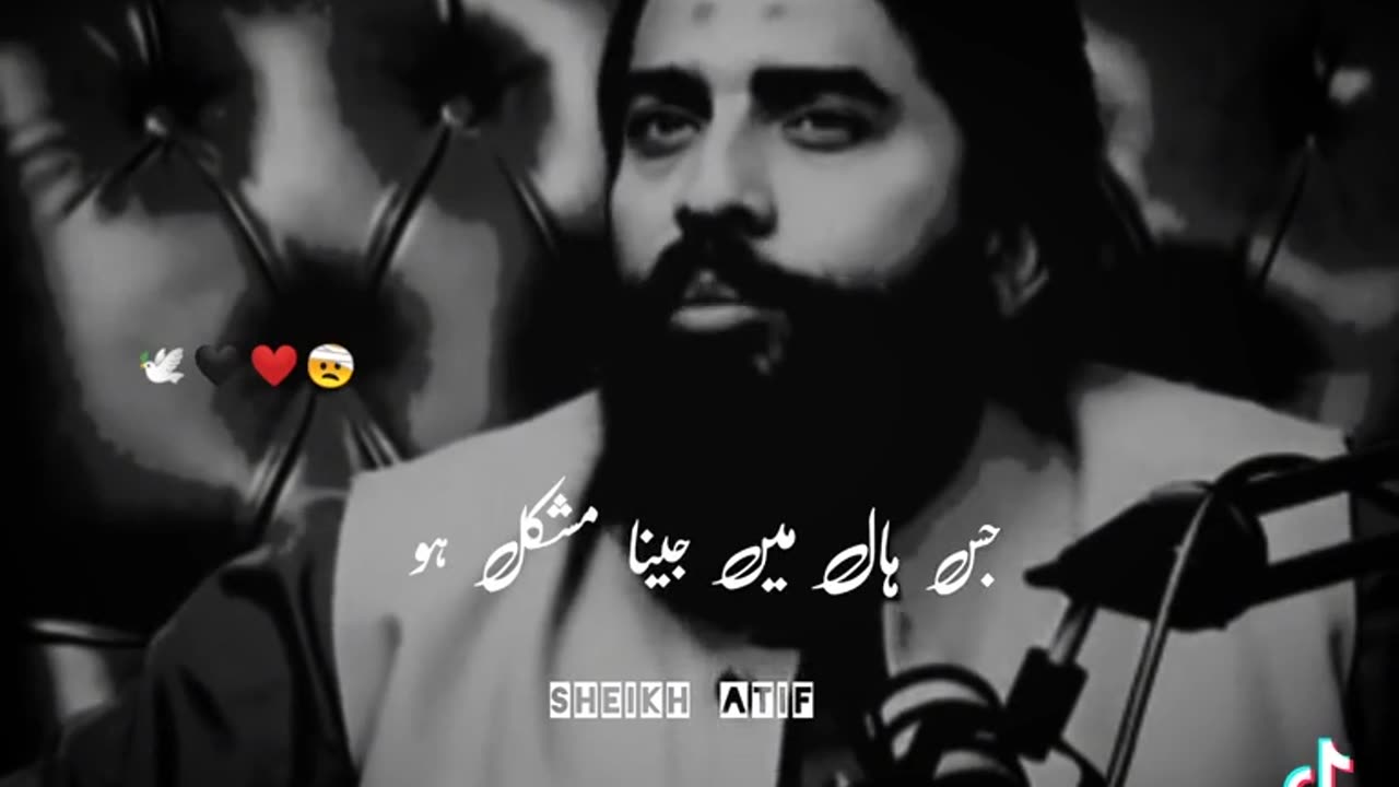Best line's