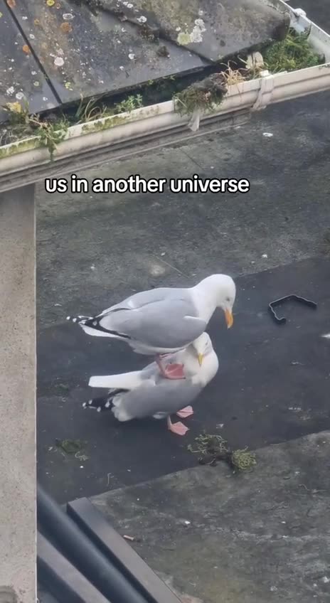 What you doing Jimmy 😂😂