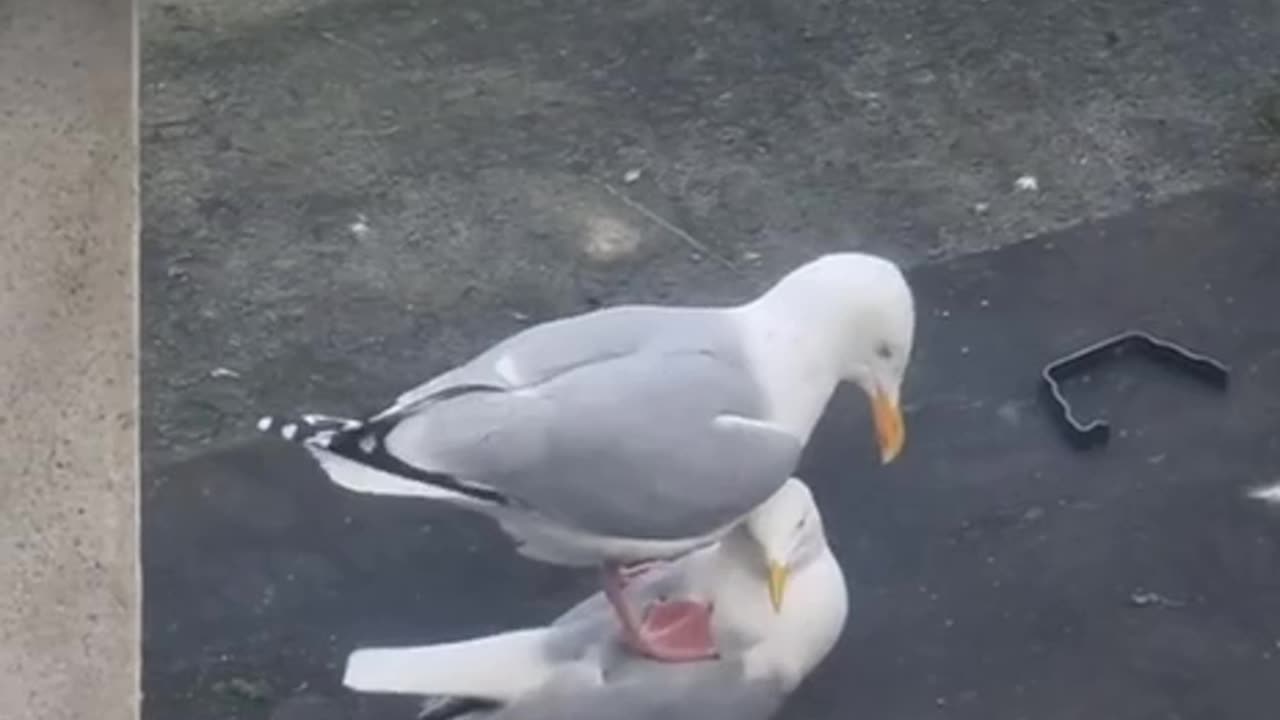 What you doing Jimmy 😂😂