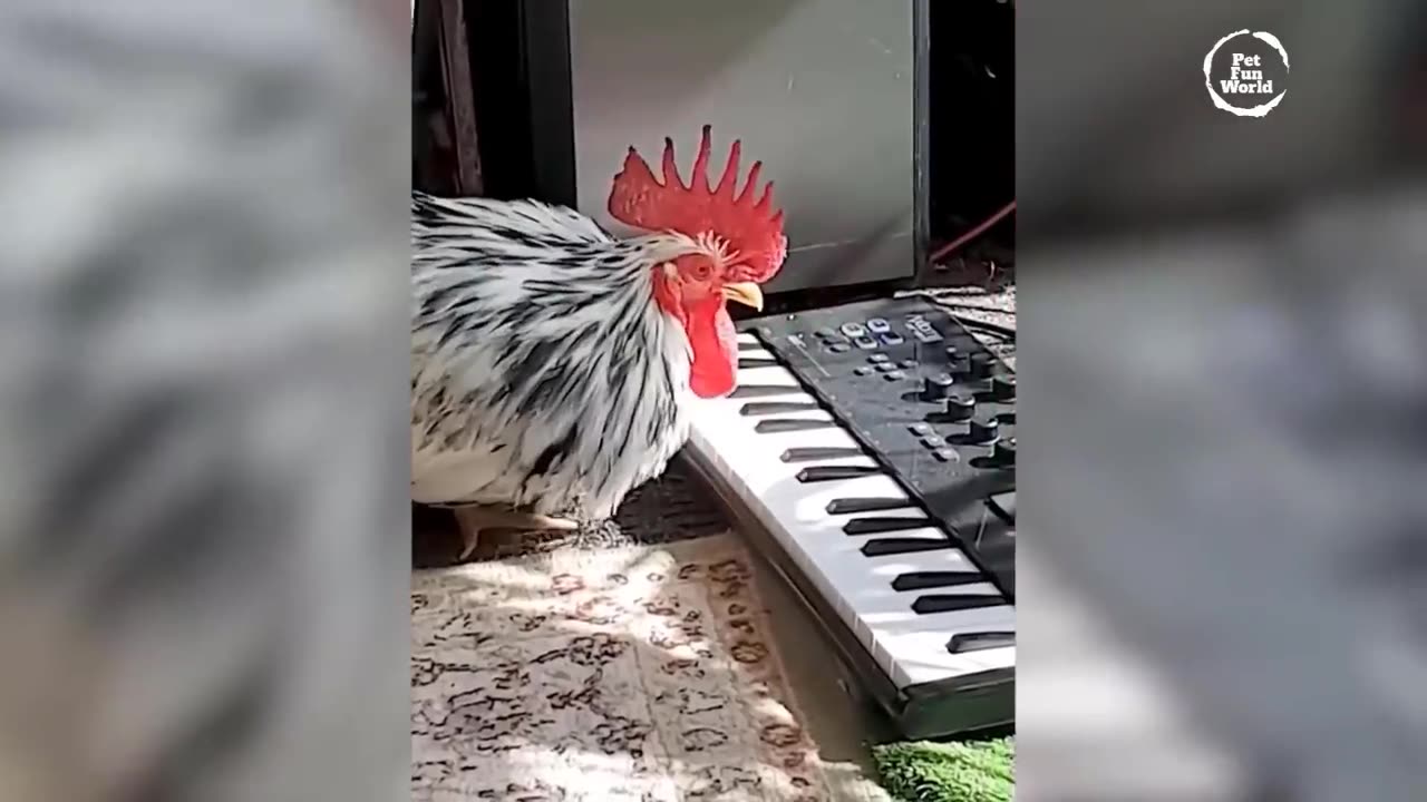 Funniest Animals New Funny Cats and Dogs Videos - Ep.20