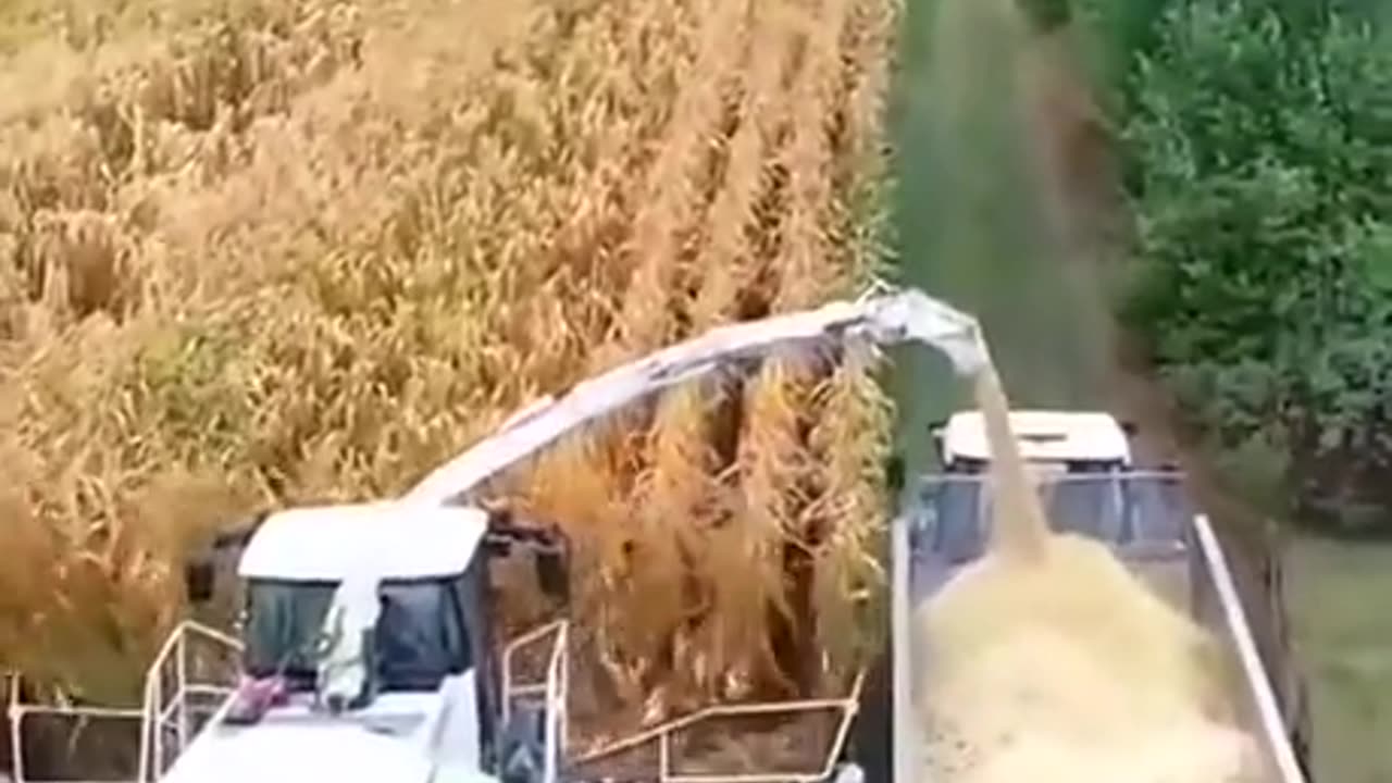 THAT'S HOW IT'S DONE