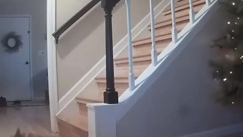 The look back at the stairs