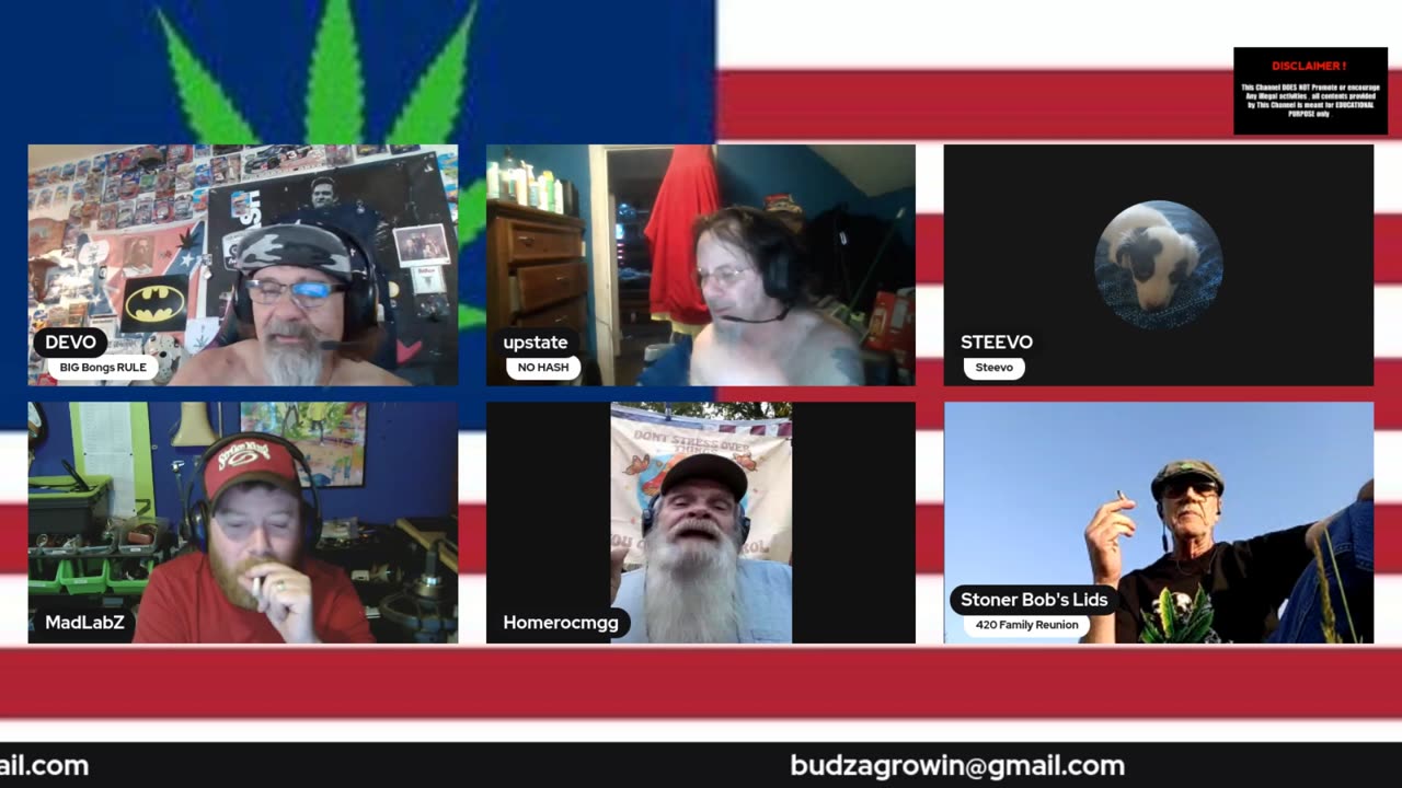 Devo's weed chronicles