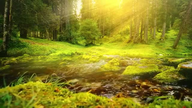 Beautiful Piano Music || Relaxing Music||Relaxation Sound