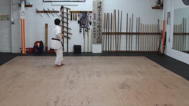 Dean Weeden 11 year old boy Advanced