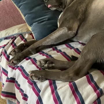 Tongue out knocked out