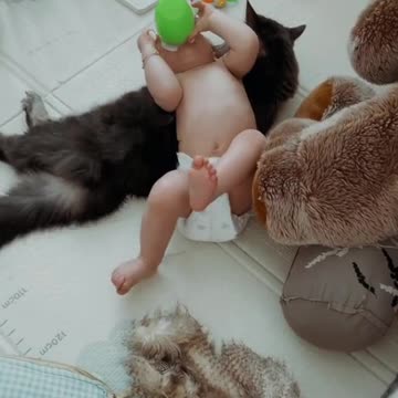 Bestie's for ever, #fyp #baby #cat #bestiesforever