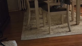 Recent poltergeist activity