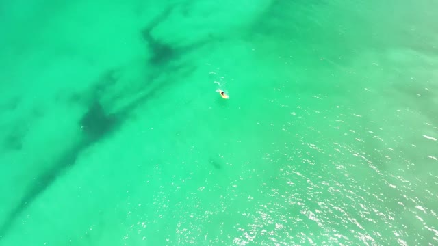 Drone Captures Shark Coming Close to Swimmers on WA Coast