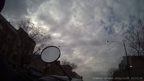 Pigeons￼ almost hit me ￼