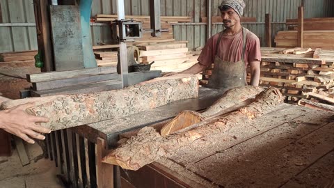 Amazing Dangerous Skills Giant Wood Cutting Fastest / The World's Largest Wood Processing Factory