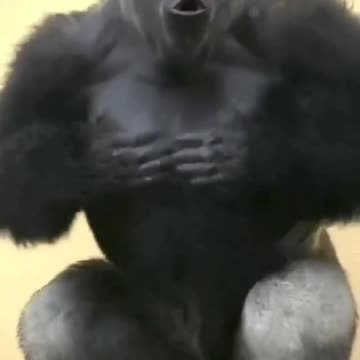 Funny Animal and Nature Videos