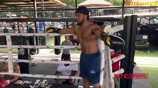 ANDREW TATE GETS BACK IN THE RING