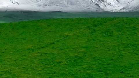 Everywhere in Xinjiang is poetry and the distance, the Nalati grassland in June.