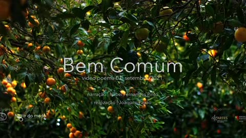 Conto do camponês eloquente