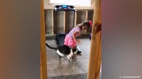 FUNNY CAT VIDEO 😝