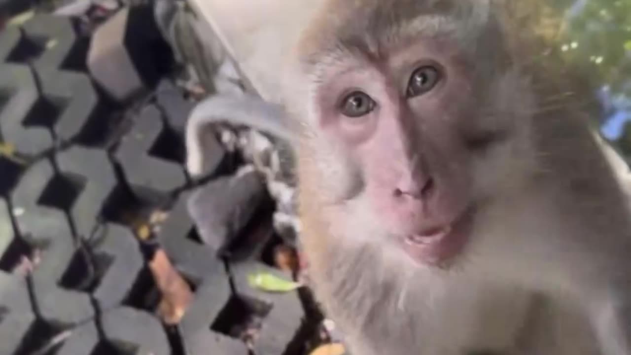 Presente misterioso 😆😆😆