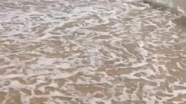 the waves of the sea