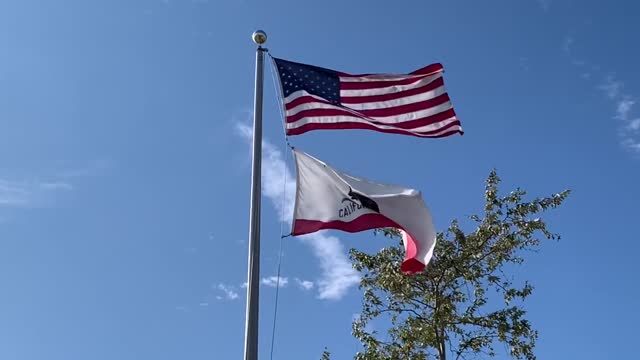 What's Going On In California 11/9/21 - Things You Should Probably Know