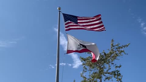 What's Going On In California 11/9/21 - Things You Should Probably Know