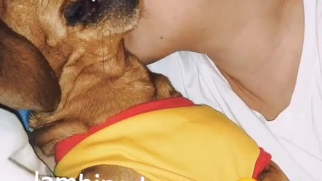 Dog getting mad when kissing. (Follow me)