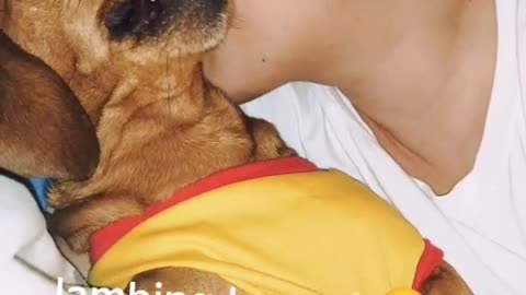 Dog getting mad when kissing. (Follow me)