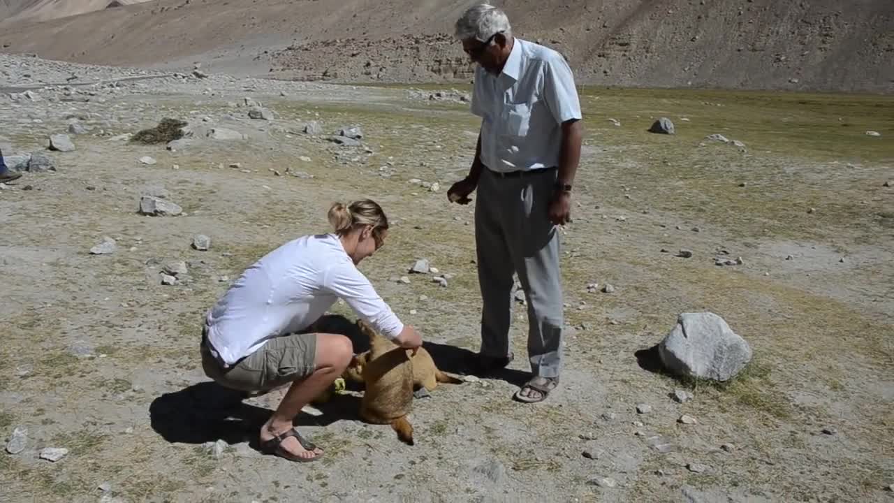 Katie and the Marmot