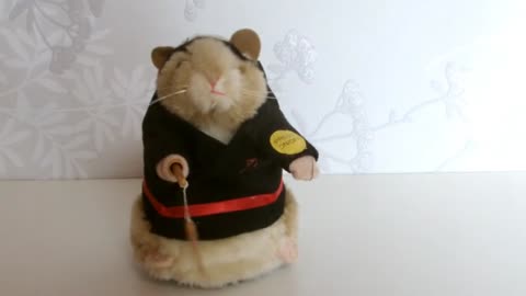 Dancing and Singing Hamster - Toy_Cut