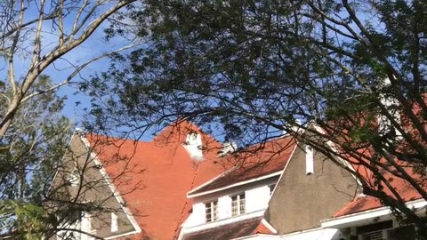 London Home