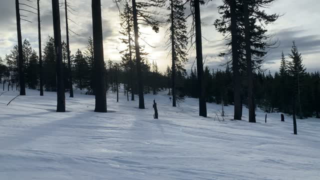 Here Comes the Sun – Central Oregon – Potato Hill Sno-Park – 4K