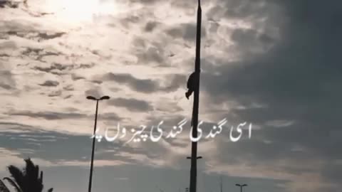 ضد