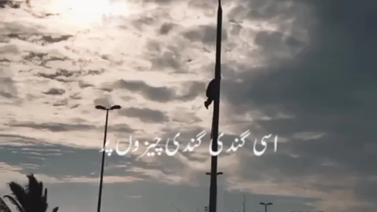 ضد