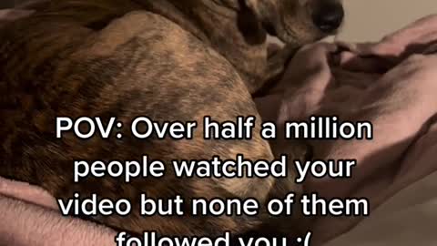 POV: Over half a million people watched your