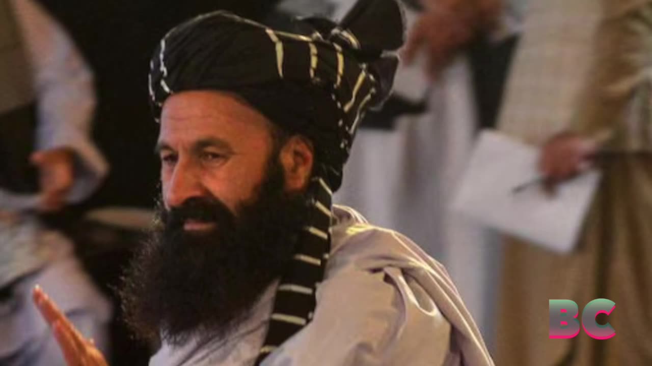 Suicide bomb kills Taliban minister in Kabul