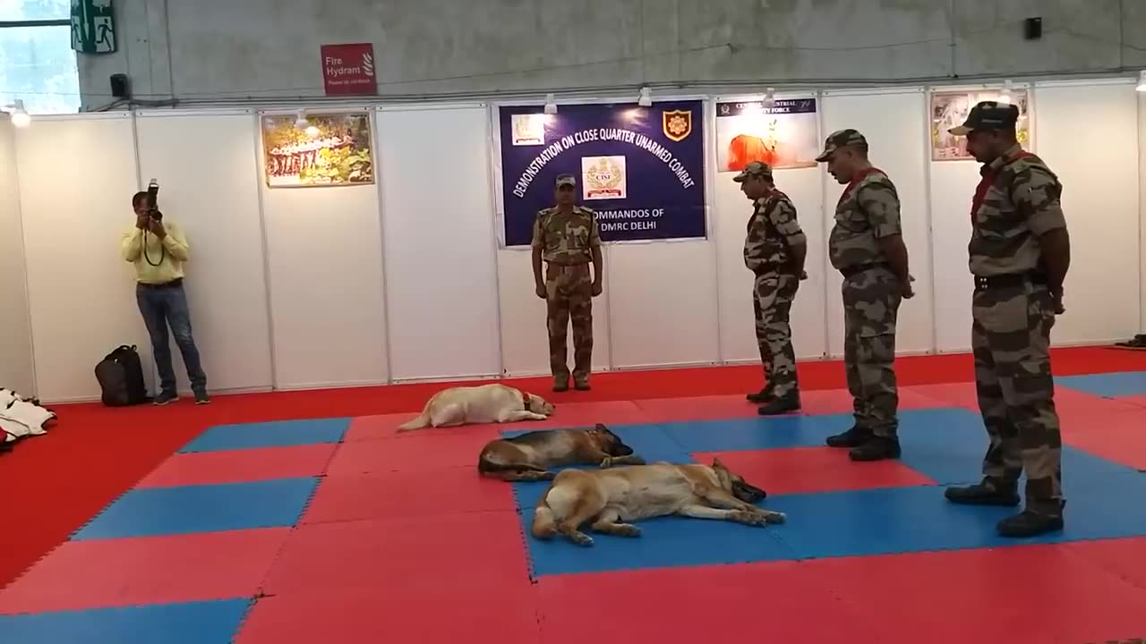 CISF demonstration of Dog Squad