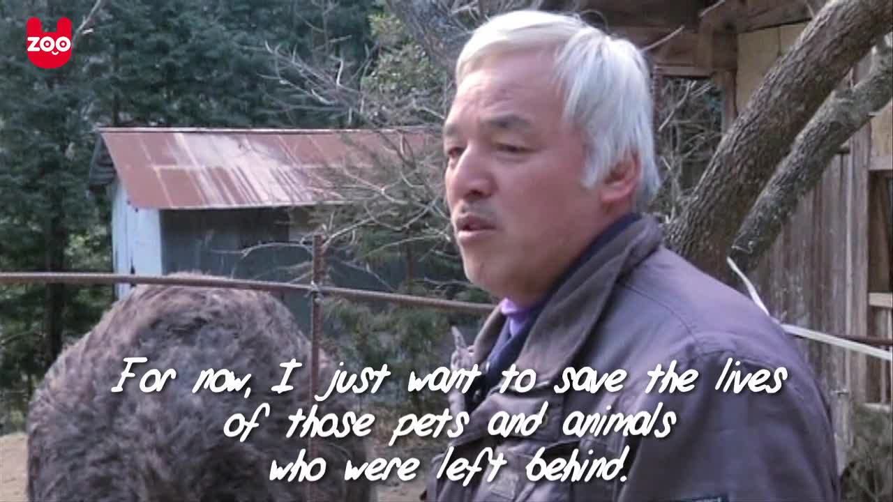 Man Looks After Animals In Nuclear Fallout Zone