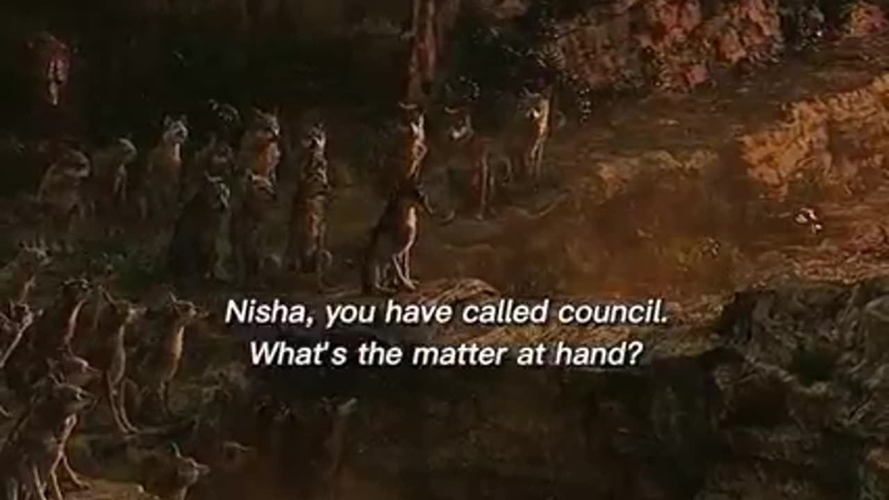This is amazing video 📷 a Little boy was suddenly Disparate because he seen the few animals