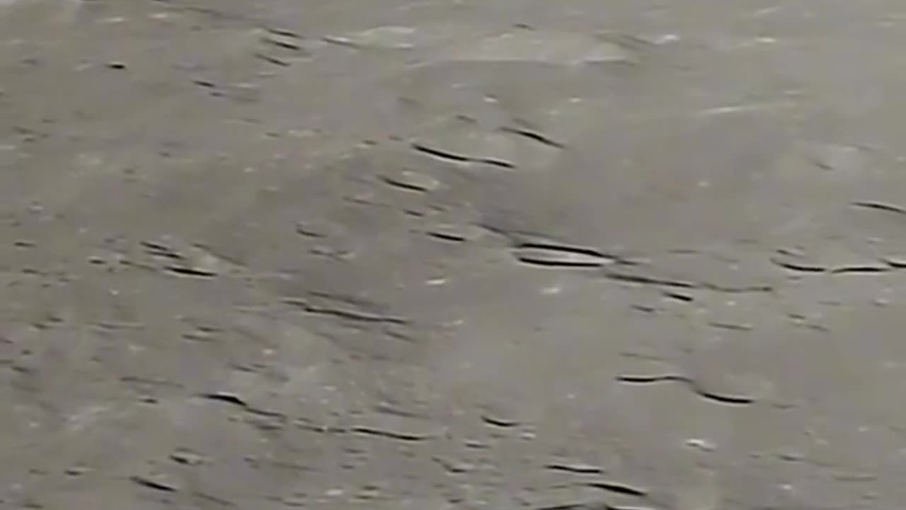 Life is possible on other planets