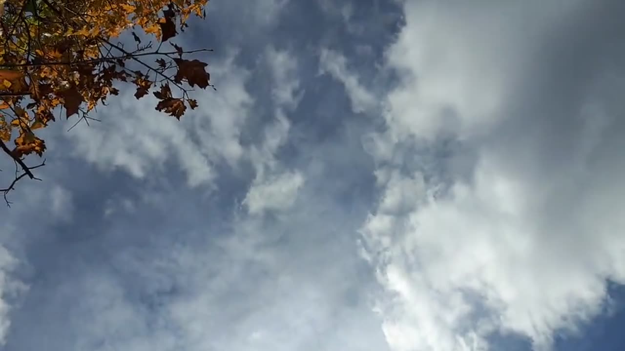 Himmel in Berlin am 22.10.2023 um 14:14 Uhr