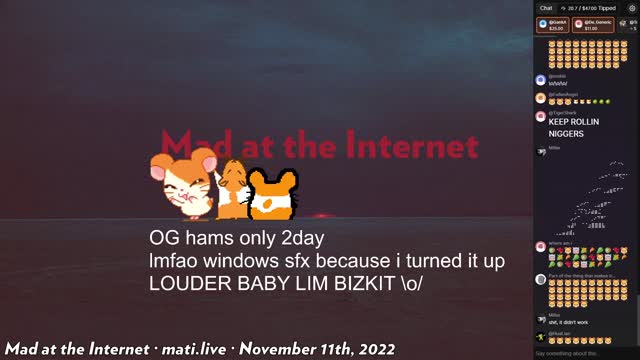 Mad at the Internet (November 11th, 2022)